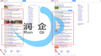 平頂山網(wǎng)絡(luò)公司中的技術(shù)領(lǐng)航者 探索潤企網(wǎng)絡(luò)科技的SEO與網(wǎng)絡(luò)技術(shù)服務(wù)